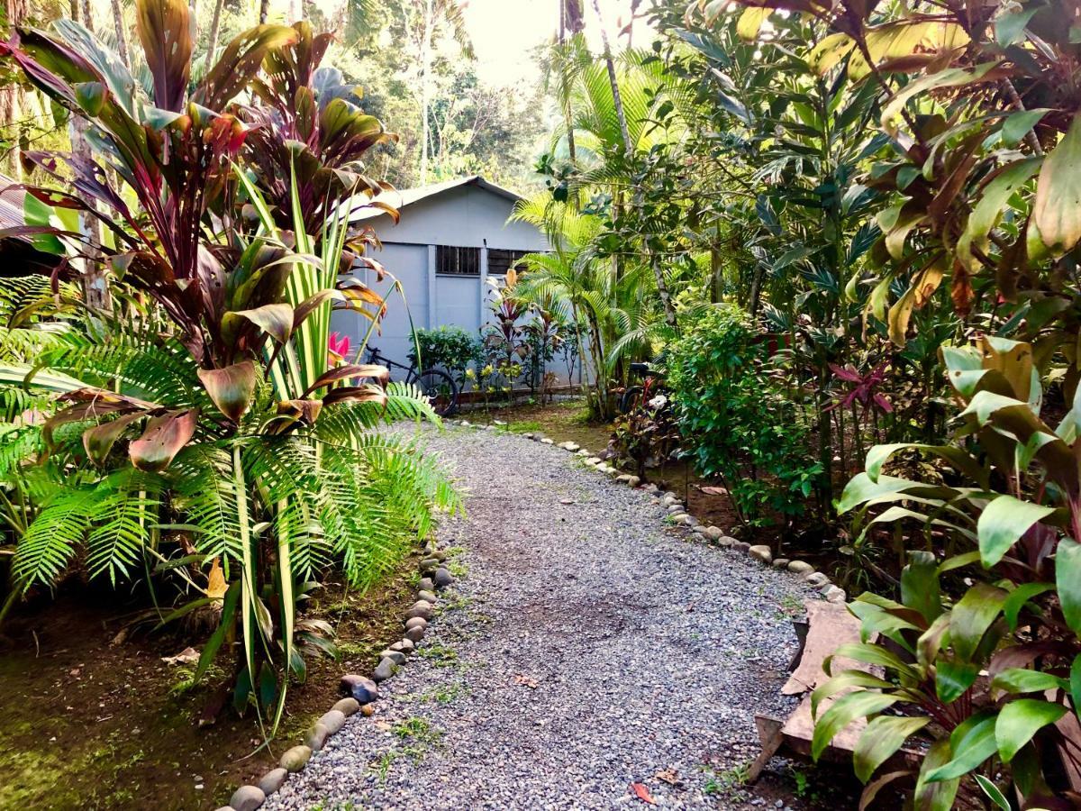 Tasty Dayz Hostel Puerto Viejo de Talamanca Exterior photo